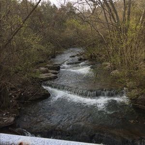 Meet your Posher, Sheila